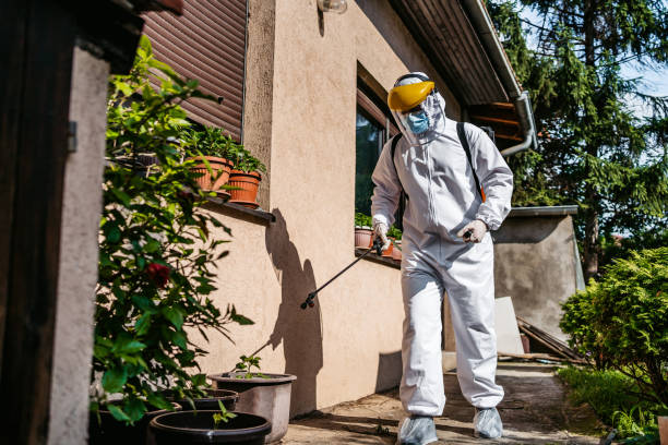 Best Wasp Removal Services  in Maunawili, HI