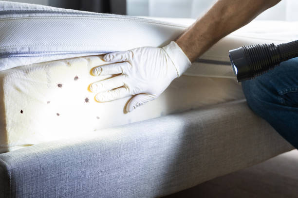 Best Best Pest Control Companies  in Maunawili, HI