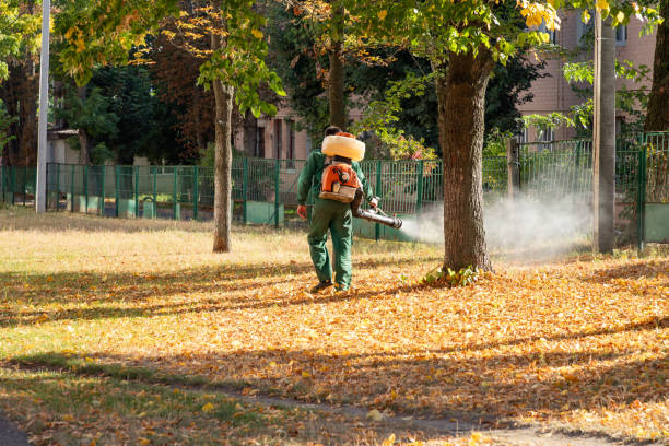 Best Exterminator Services  in Maunawili, HI